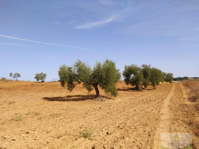 Terreno en venta en El Condado, Andalucía