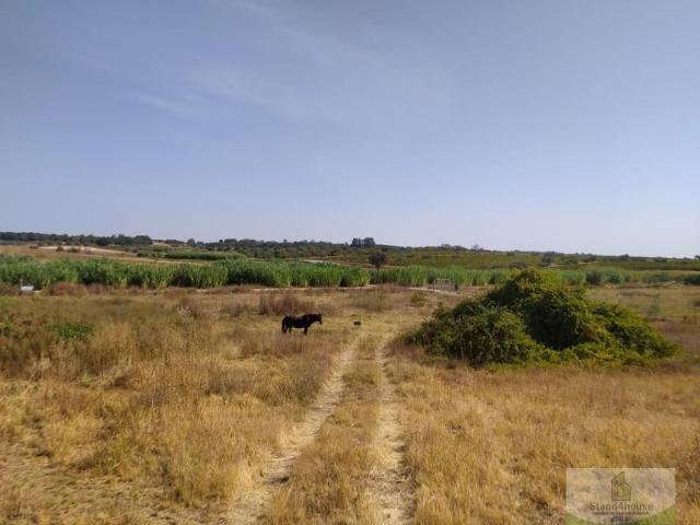 Terreno en venta en El Condado, Andalucía