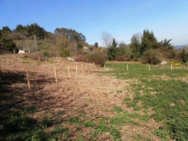 Terreno en venta en Villaviciosa, Asturias