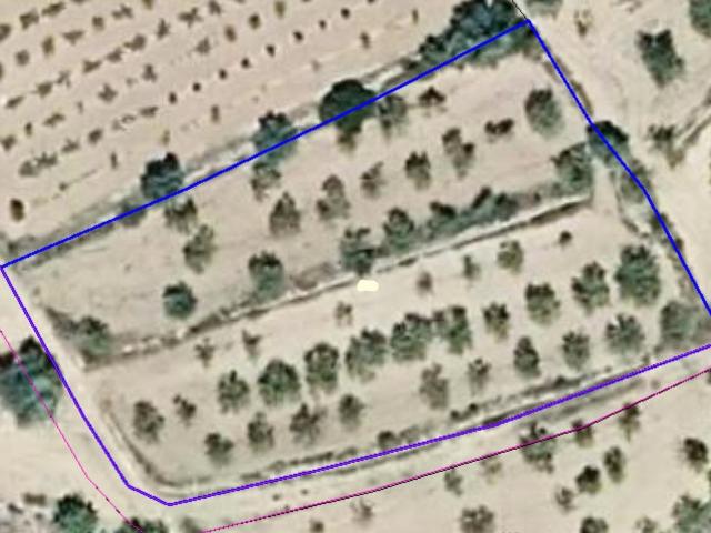 Terreno en venta en la Plana Alta, Valencia