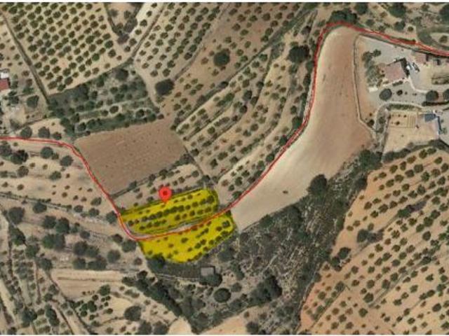 Local Comercial en venta en la Plana Alta, Valencia