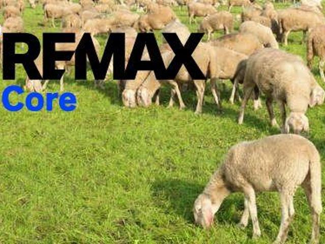 Terreno en venta en Alcollarín, Extremadura