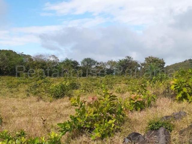 TERRENO EN VERAGUAS EN VENTA