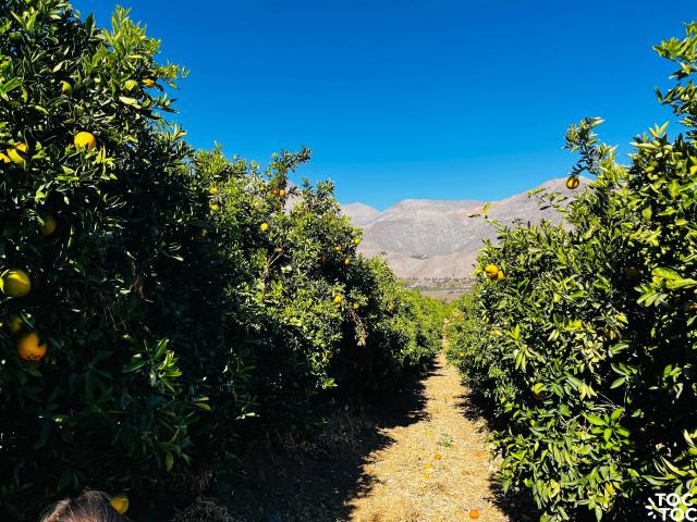 Terreno en venta en Paiguano, Coquimbo