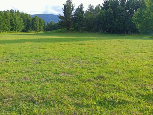 Terreno en venta en Liumalla, La Araucanía
