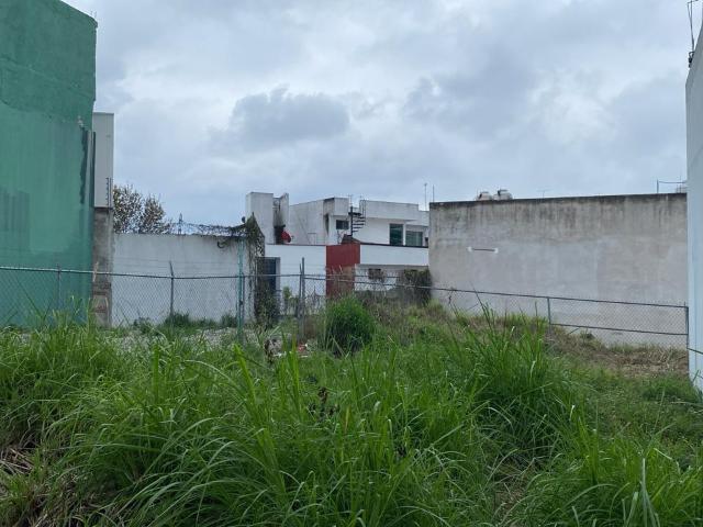 Terreno en renta en Xalapa, Veracruz