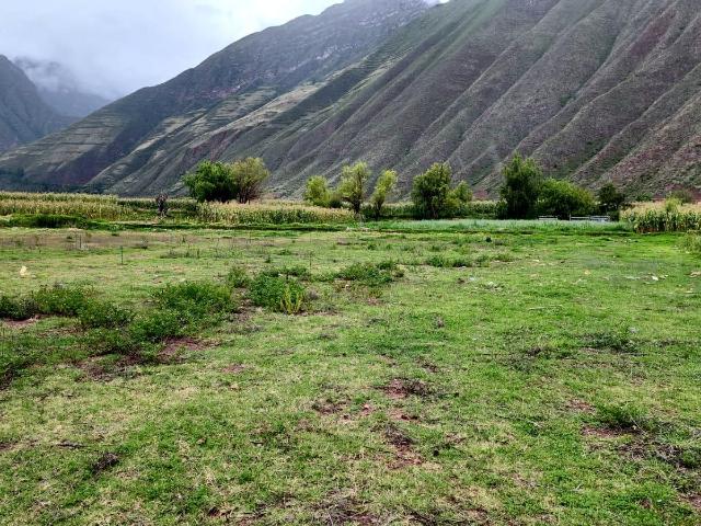 Terreno venta en Urquillos, Huayllabamba