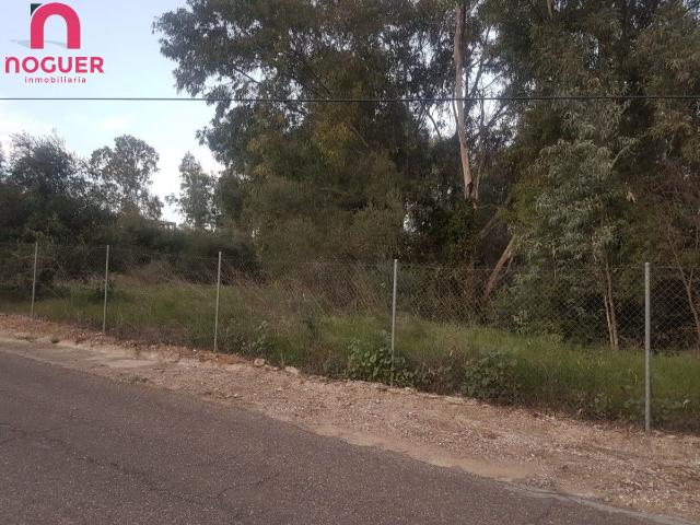 Terreno en venta en Almodóvar Del Río, Andalucía