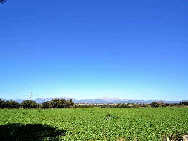 Terreno en venta en Pla de Mallorca, Baleares