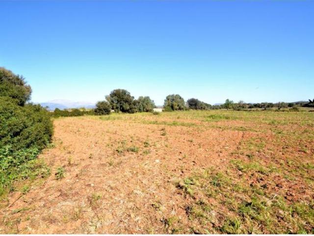 Local Comercial en venta en Pla de Mallorca, Baleares