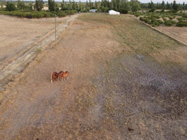 Terreno en Ñiquén