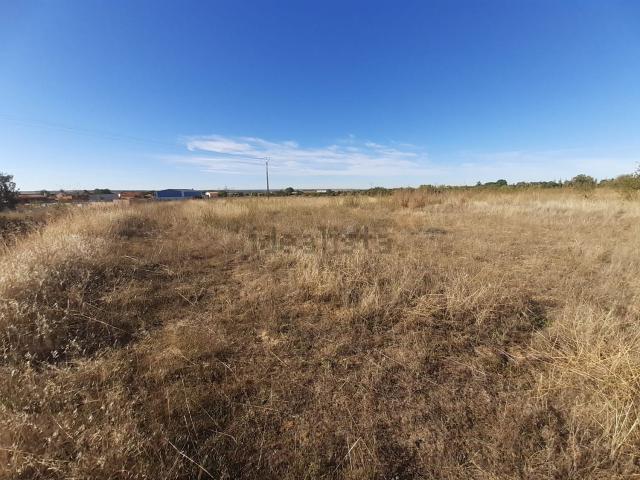 Terreno en venta en Entrala, Zamora