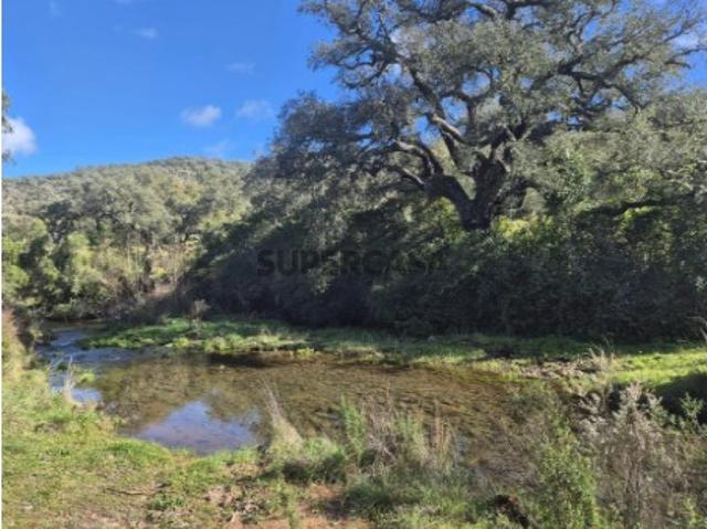 Terreno venda em Grândola, Setúbal