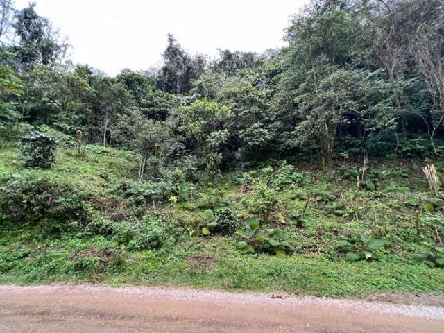 Terreno enVenta Pueblo Mágico, Puebla