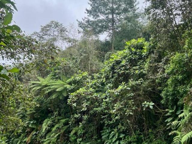 Terreno enVenta Pueblo Mágico, Puebla