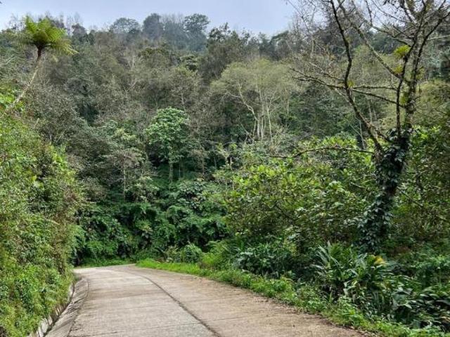 Terreno enVenta Pueblo Mágico, Puebla