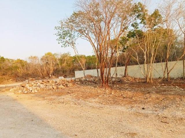 Terreno ePreventa de lotes industriales en NODO park.n Tetiz