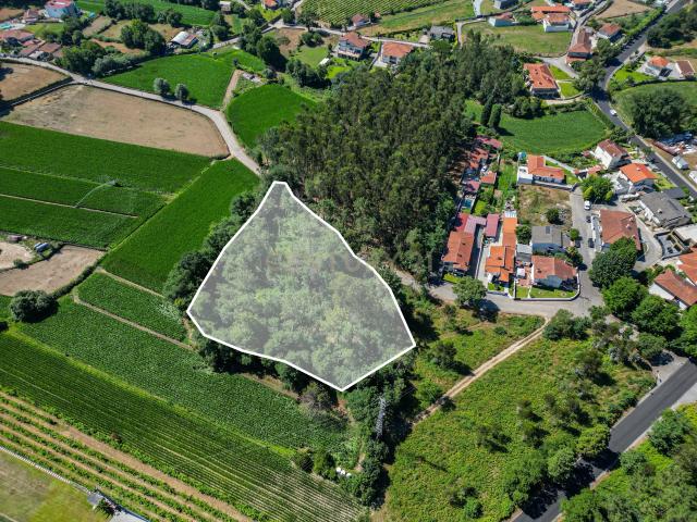 Terreno venda em Ucha, Arcozelo