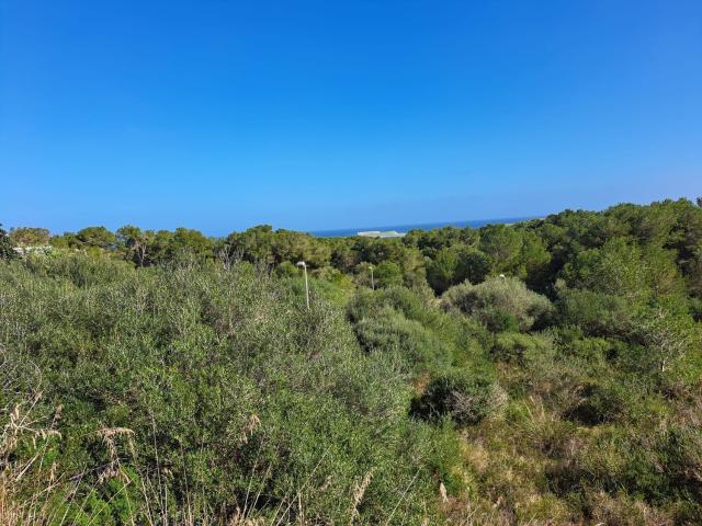 Terreno en venta en es Mercadal, Menorca