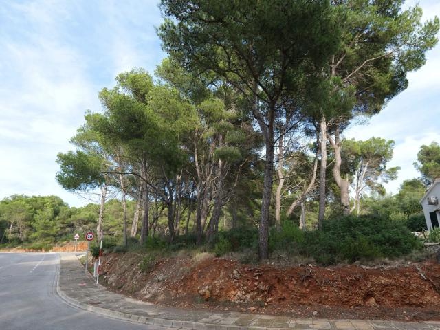 Terreno en venta en es Mercadal, Menorca