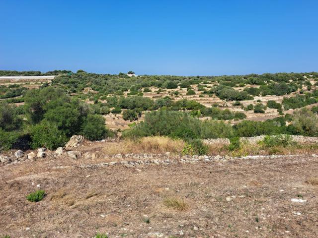 Terreno en venta en Menorca, Baleares