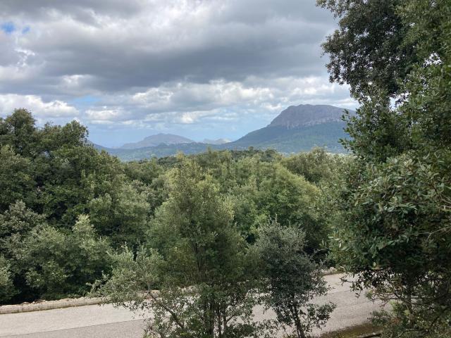 Terreno en venta en Serra de Tramuntana, Baleares