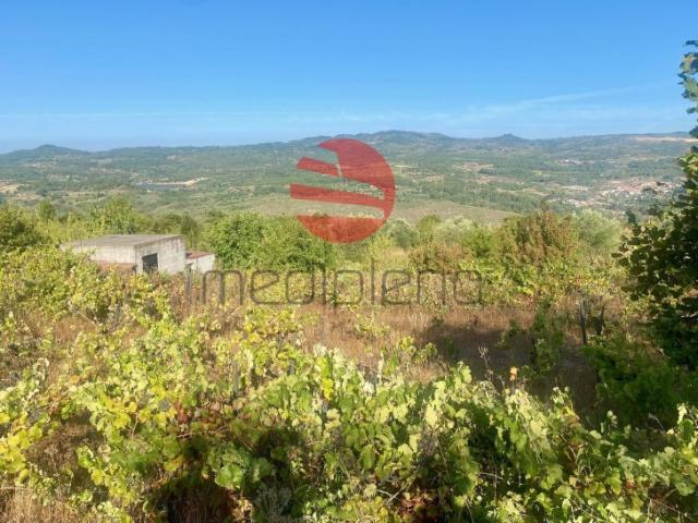 Terreno venda em Escurquela, Viseu