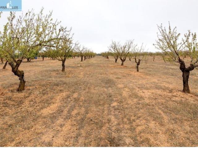 Local Comercial en venta en Comarca de Alhama, Andalucía