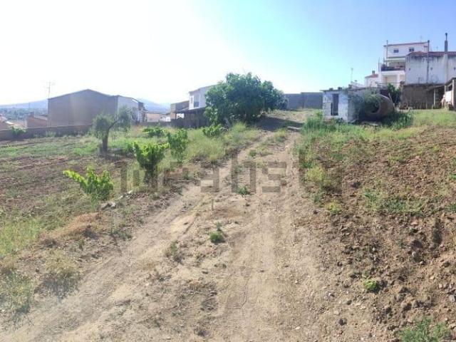 Terreno en venta en Esparragosa De La Serena, Badajoz