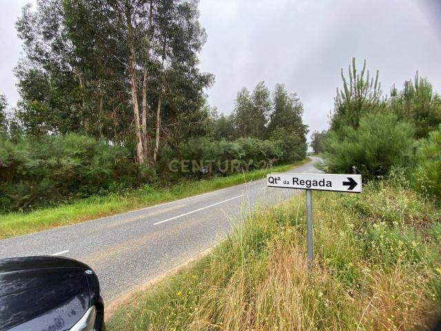 Terreno venda em Tábua, Coimbra