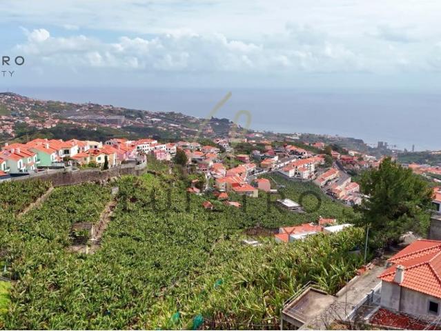 Terreno venda em Estreito de Câmara de Lobos, Câmara De Lobos