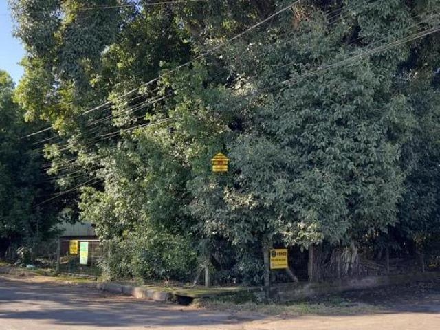 Terreno venda em Região Geográfica Imediata de Novo Hamburgo - São Leopoldo, Região Metropolitana de Porto Alegre