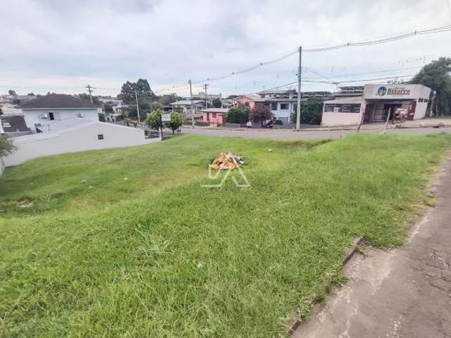 Terreno venda em Passo Fundo