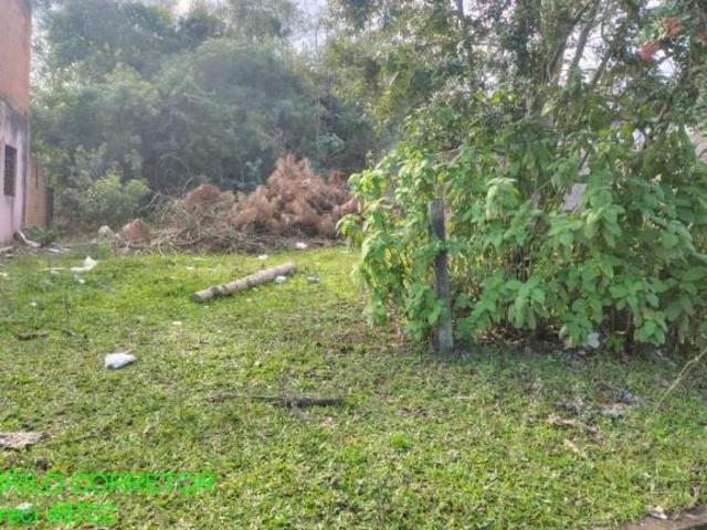 Terreno venda em Região Geográfica Imediata de Montenegro, Região Metropolitana de Porto Alegre