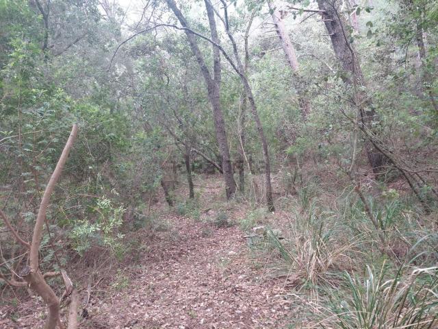 Terreno en venta en Palma, Baleares