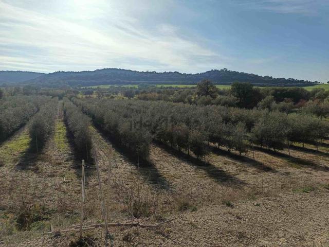 Terreno en venta en Somontano de Barbastro, Aragón