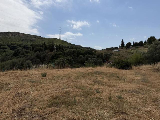 Terreno en venta en Valle Romano, Costa del Sol Occidental