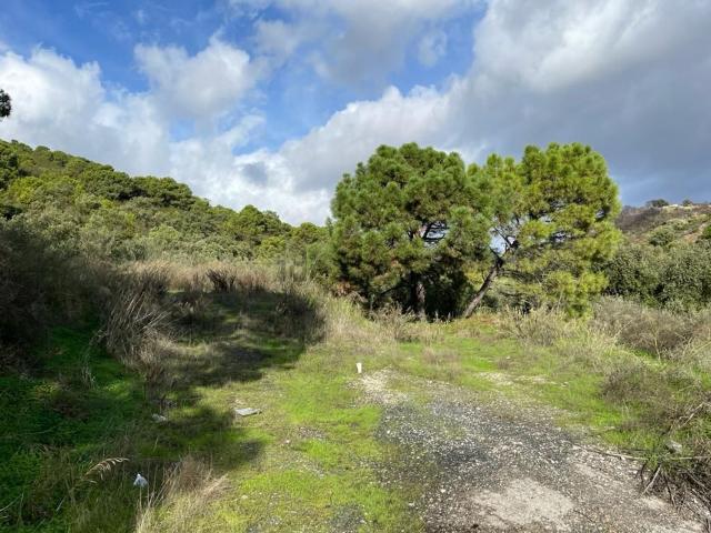 Terreno en venta en Forest Hills, Costa del Sol Occidental