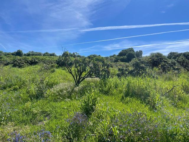 Terreno en venta en Valle Romano, Costa del Sol Occidental