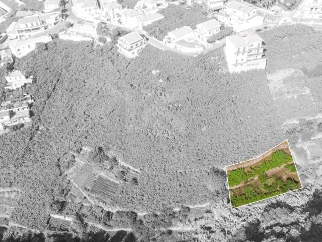 Terreno venda em Estreito de Câmara de Lobos, Câmara De Lobos