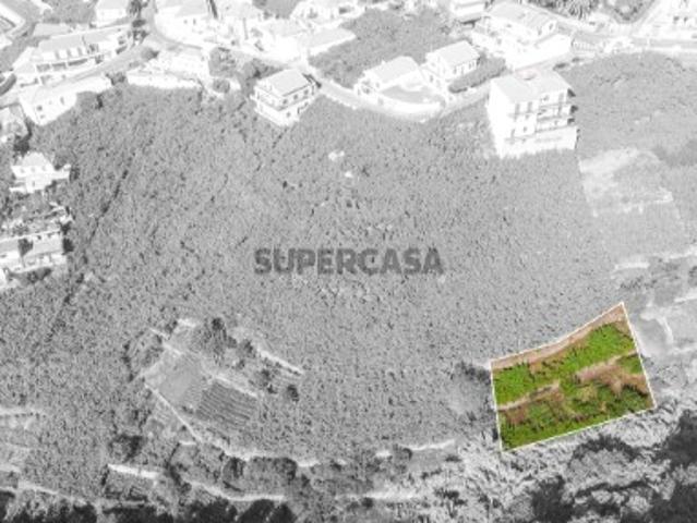 Terreno venda em Câmara De Lobos, Pico e Salões Terreno venda em Câmara De Lobos, Pico e Salões