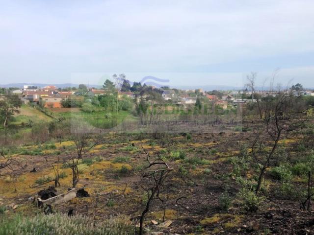 Terreno venda em Assilhó, Albergaria-a-velha