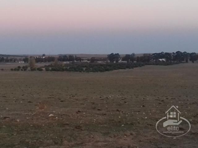 Terreno venda em Évora