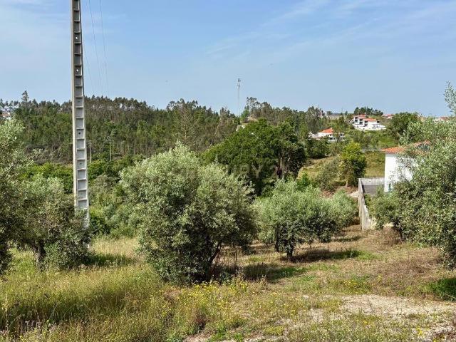 Terreno venda em Soutocico, Leiria