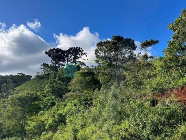 Terreno venda em Região Imediata de Taubaté-Pindamonhangaba, Região Metropolitana do Vale do Paraíba e Litoral Norte