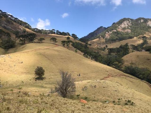Terreno venda em Gonçalves