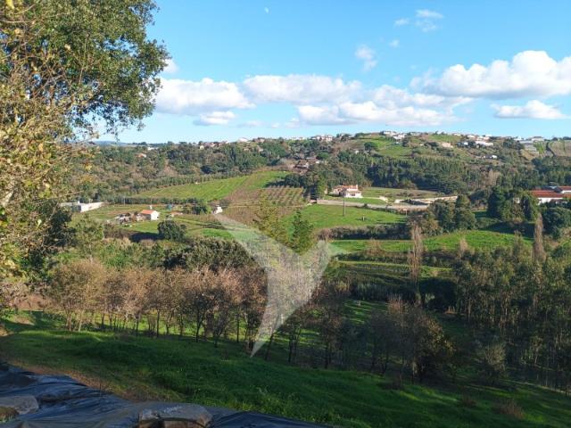 Terreno venda em Cruz das Mós, Alcobaça