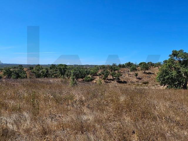 Terreno venda em Cruz de João Mendes, Santiago Do Cacém