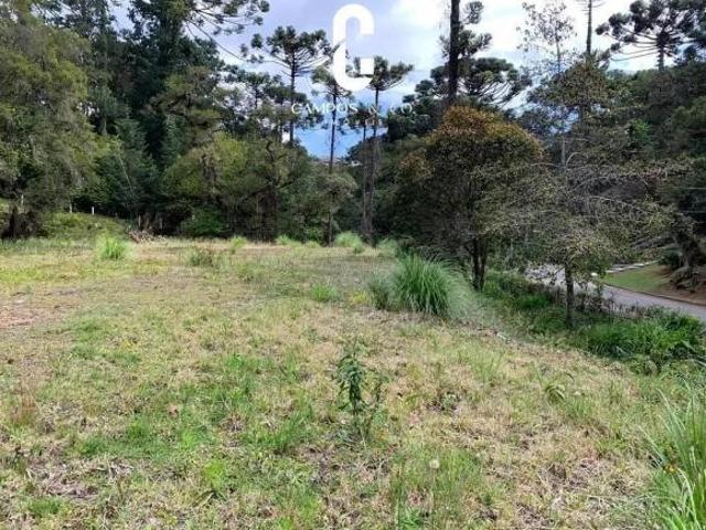 Terreno venda em Região Imediata de Taubaté-Pindamonhangaba, Região Metropolitana do Vale do Paraíba e Litoral Norte