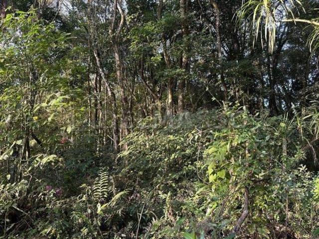 Terreno venda em Região Imediata de Sorocaba, Região Metropolitana de Sorocaba